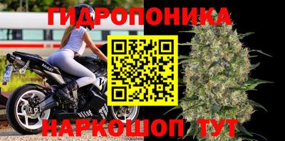 круглые Пугачёв